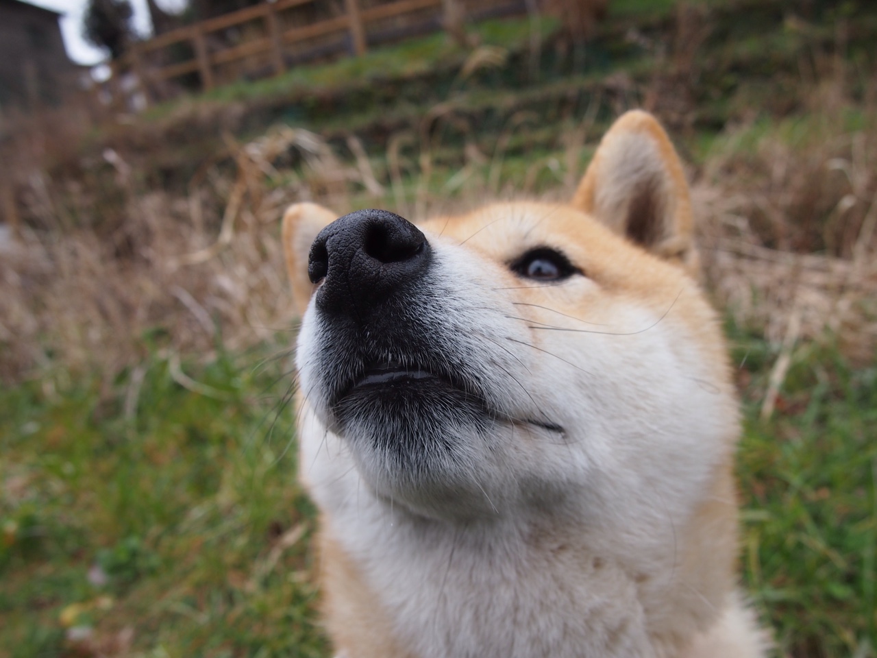 暗黑森林法则，爱德华兹与辽宁队如何重塑比赛宇宙