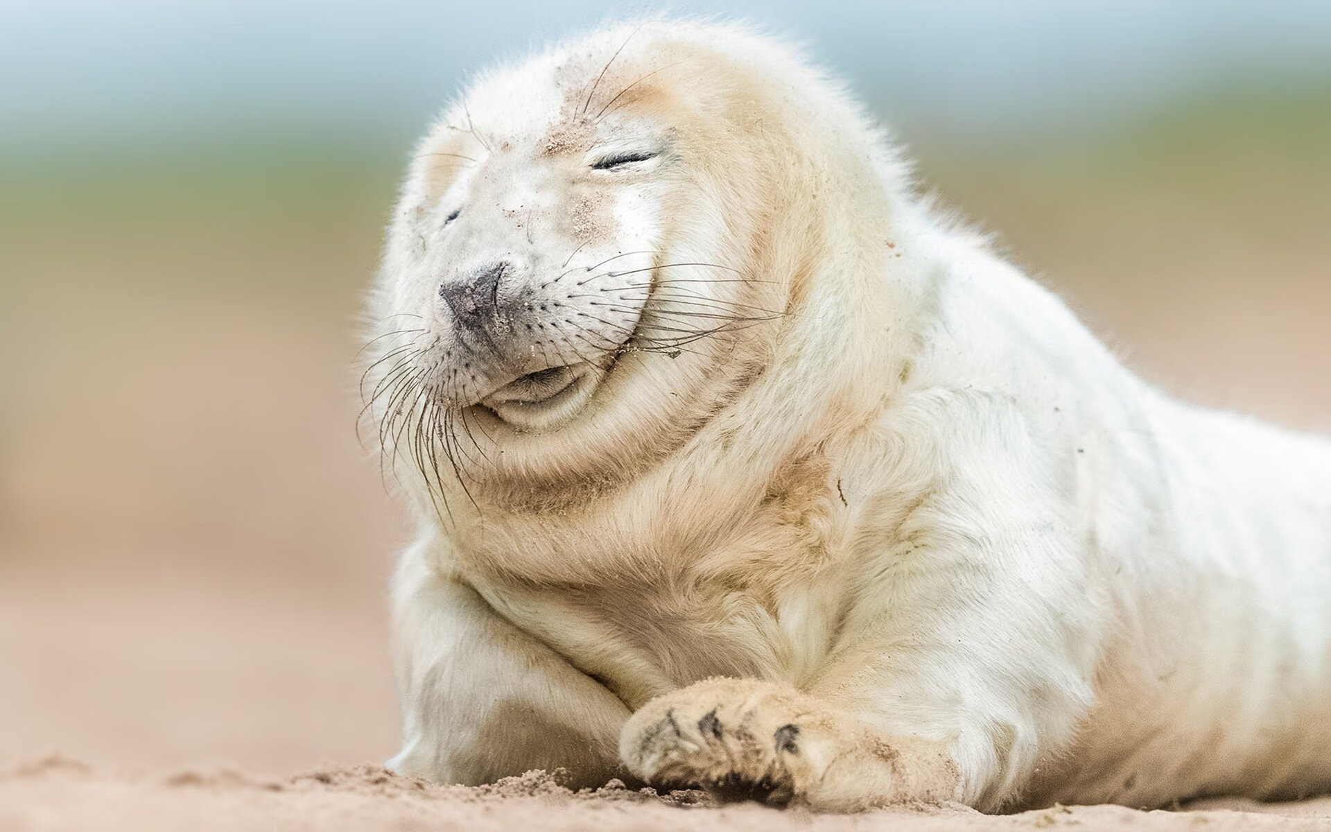 开云sport-绿茵场上的外交博弈，当福登用足球解构牙买加的高压统治