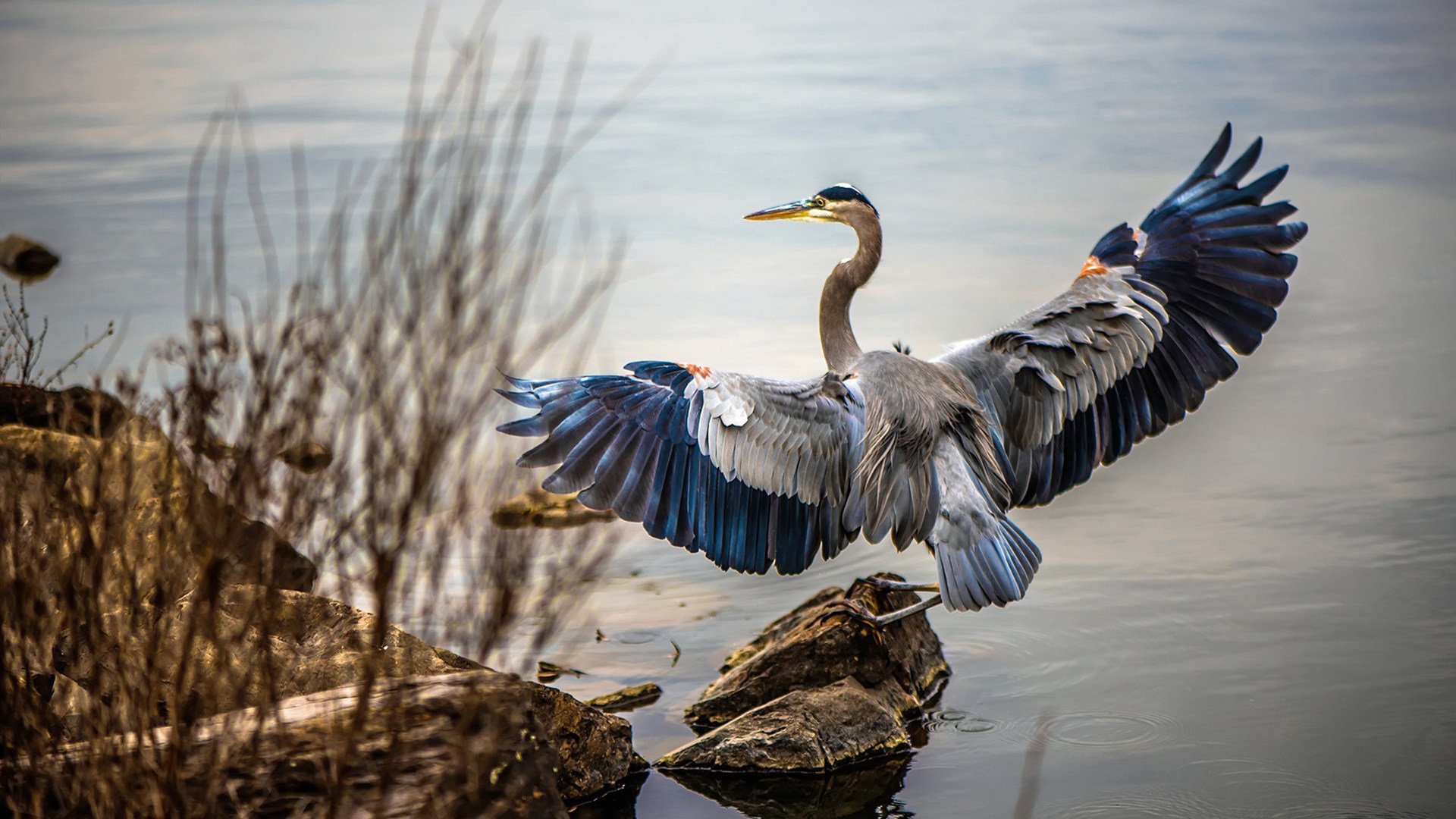 红色铁蹄踏碎梦想之城，马竞钢铁洪流征服威尔士巨龙之巢