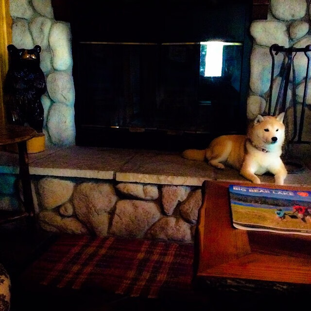 冰封孟菲斯,爱德华兹飓风席卷,篮网用火网炼狱镇压灰熊