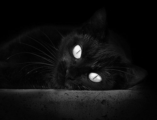 贝恩圣枪游侠击穿雷霆，灰熊铁血防守诠释团队篮球哲学