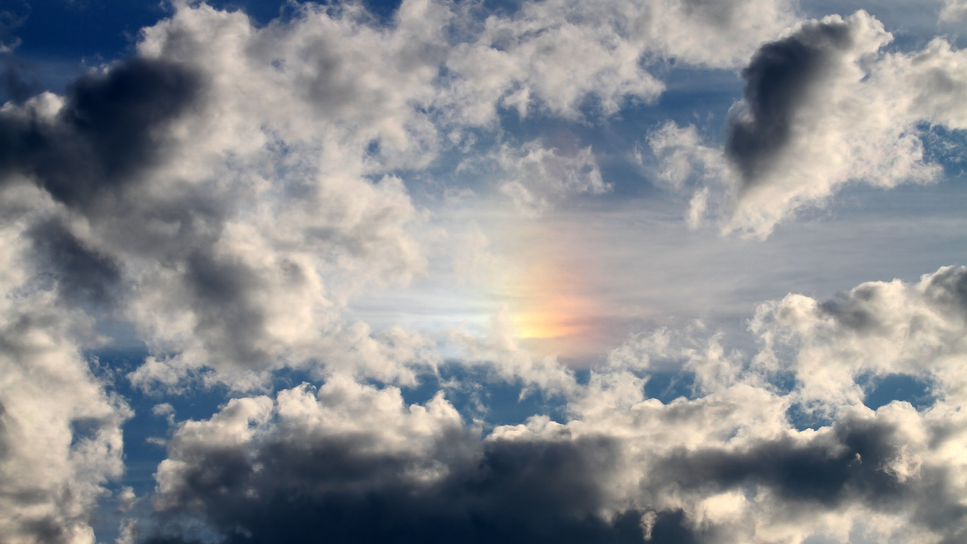 新星崛起，文班亚马关键先生本色，助老鹰展翅淘汰灰熊