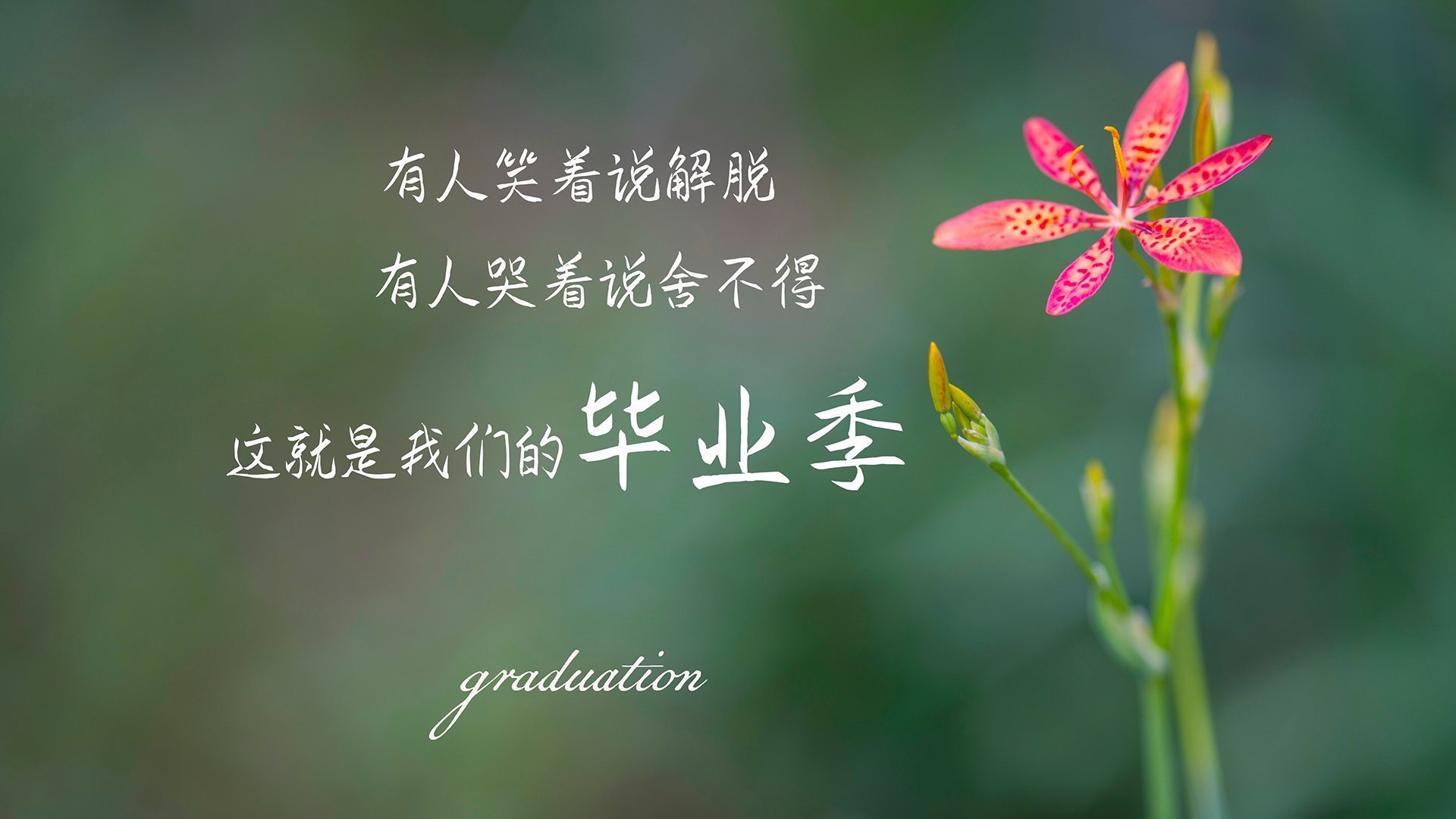 哈弗茨的利刃,当伊拉克铁壁遇上希腊神话