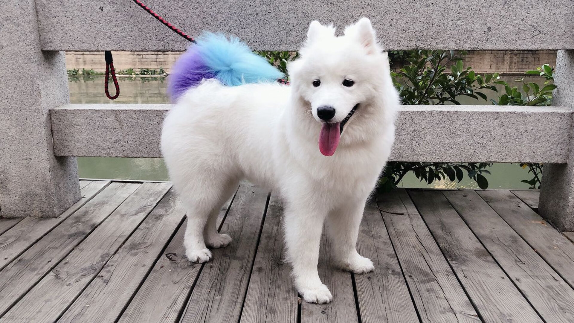 两个赛场的冠军逻辑，从F1阿布扎比到NBA季后赛的完胜哲学