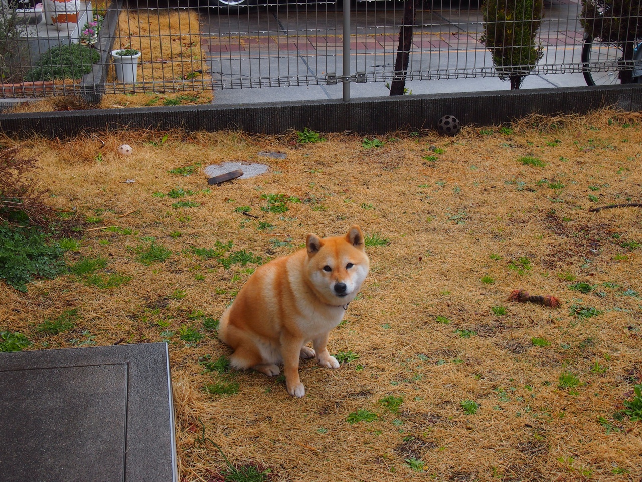 47分狂胜！雷霆创队史最大抢七分差，吉林队魂黯然离场