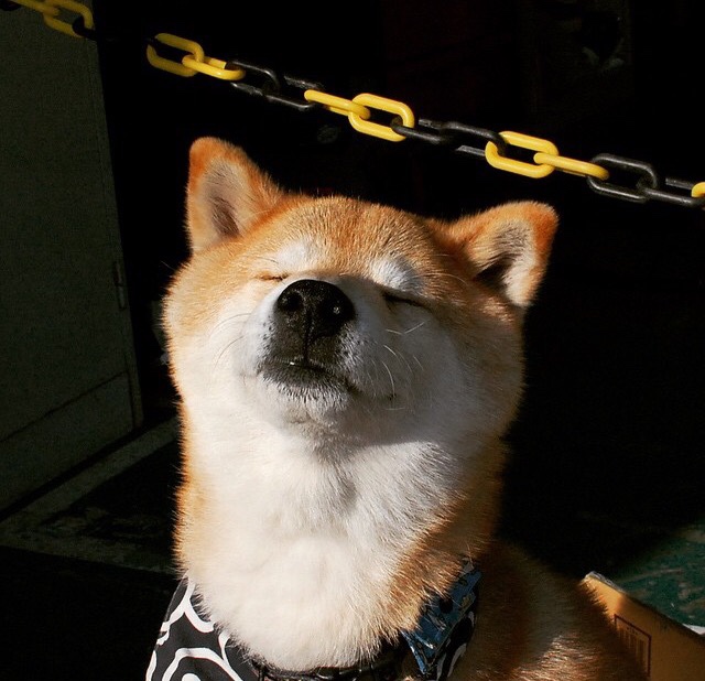 从伯纳乌到北美，当沉默的磐石学会接管比赛