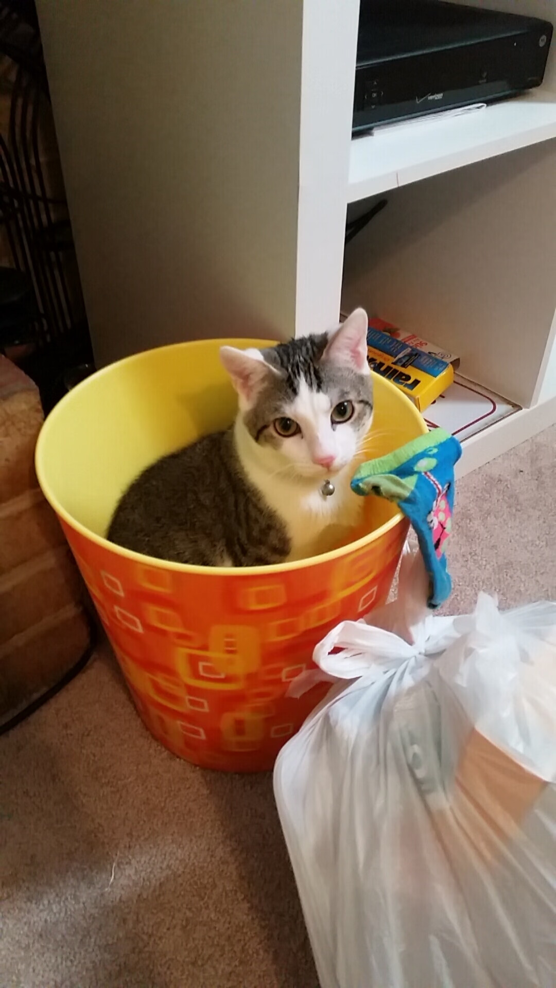 南美黑马掀翻德意志战车，曼联魔翼让防线彻底瘫痪