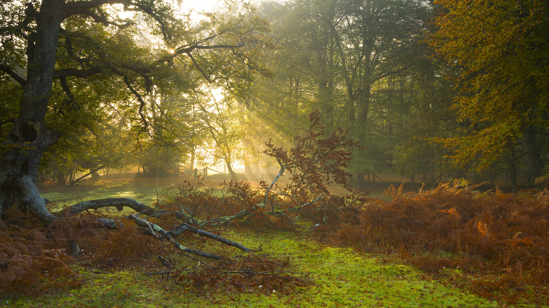 诺坎普奇迹,无人看好的阿克如何一球击碎拜仁神话?