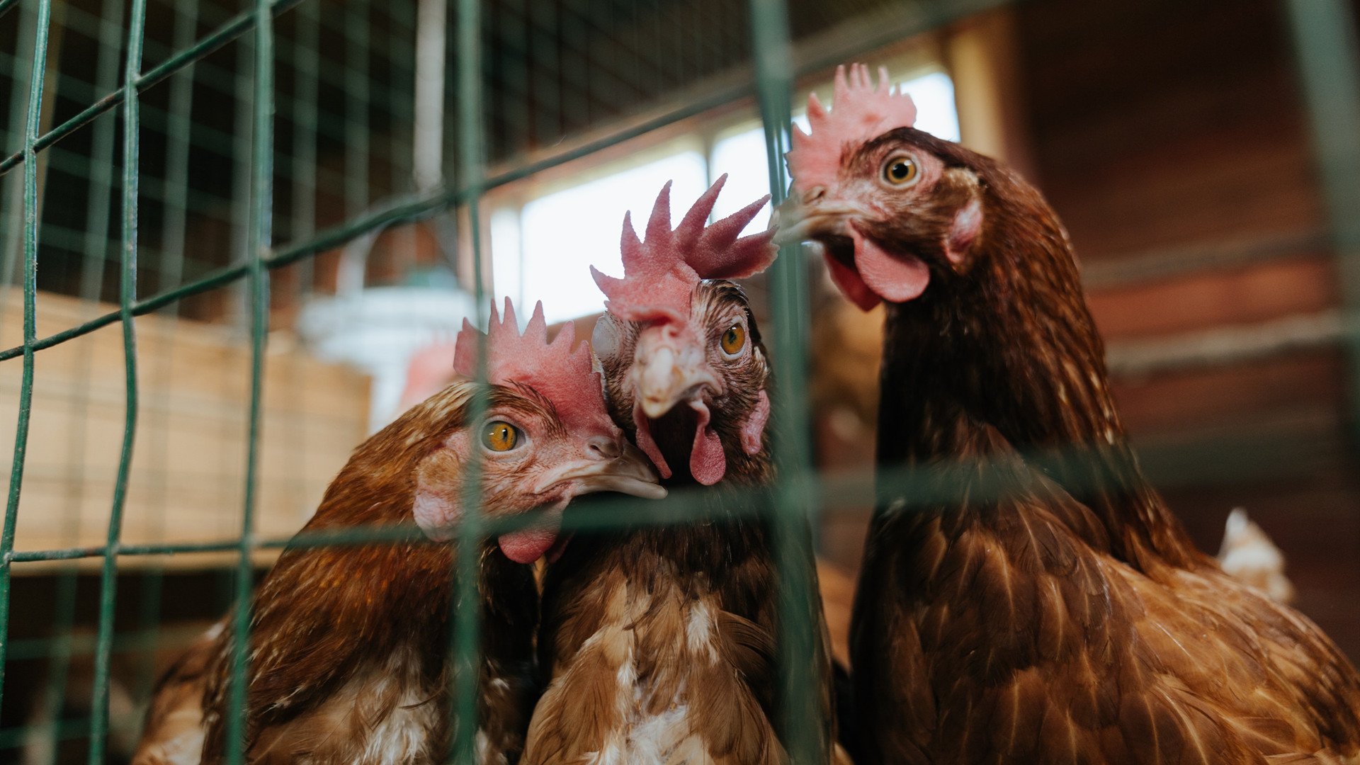 中锋空缺之夜，门卫卡塞米罗扼住命运的咽喉