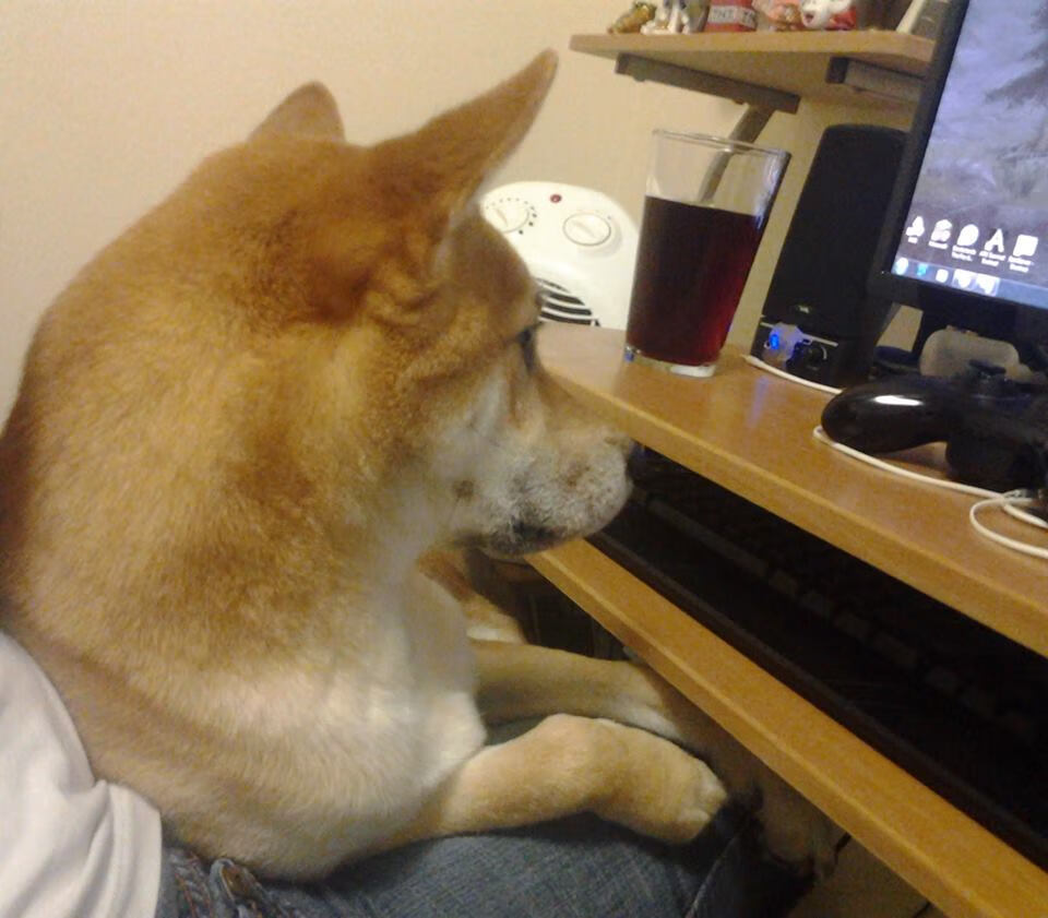 欧冠半决赛的跨界风暴，猛龙以篮球之力攻陷吉林队，演绎焦点战新传奇