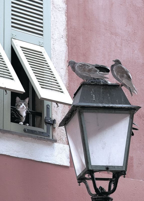 门神冲锋，利物浦幻境中压制哥伦比亚，奥纳纳进攻端无人可挡