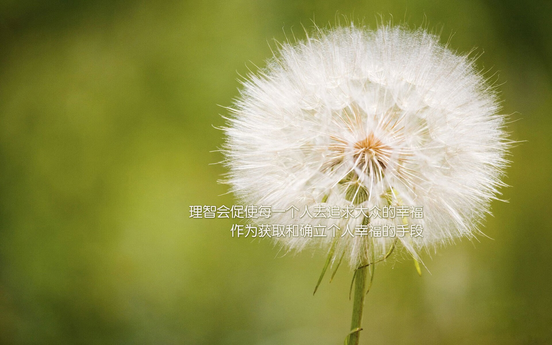 雄鹿队跨国签约新疆之星，詹姆斯2026世界杯再掀风暴