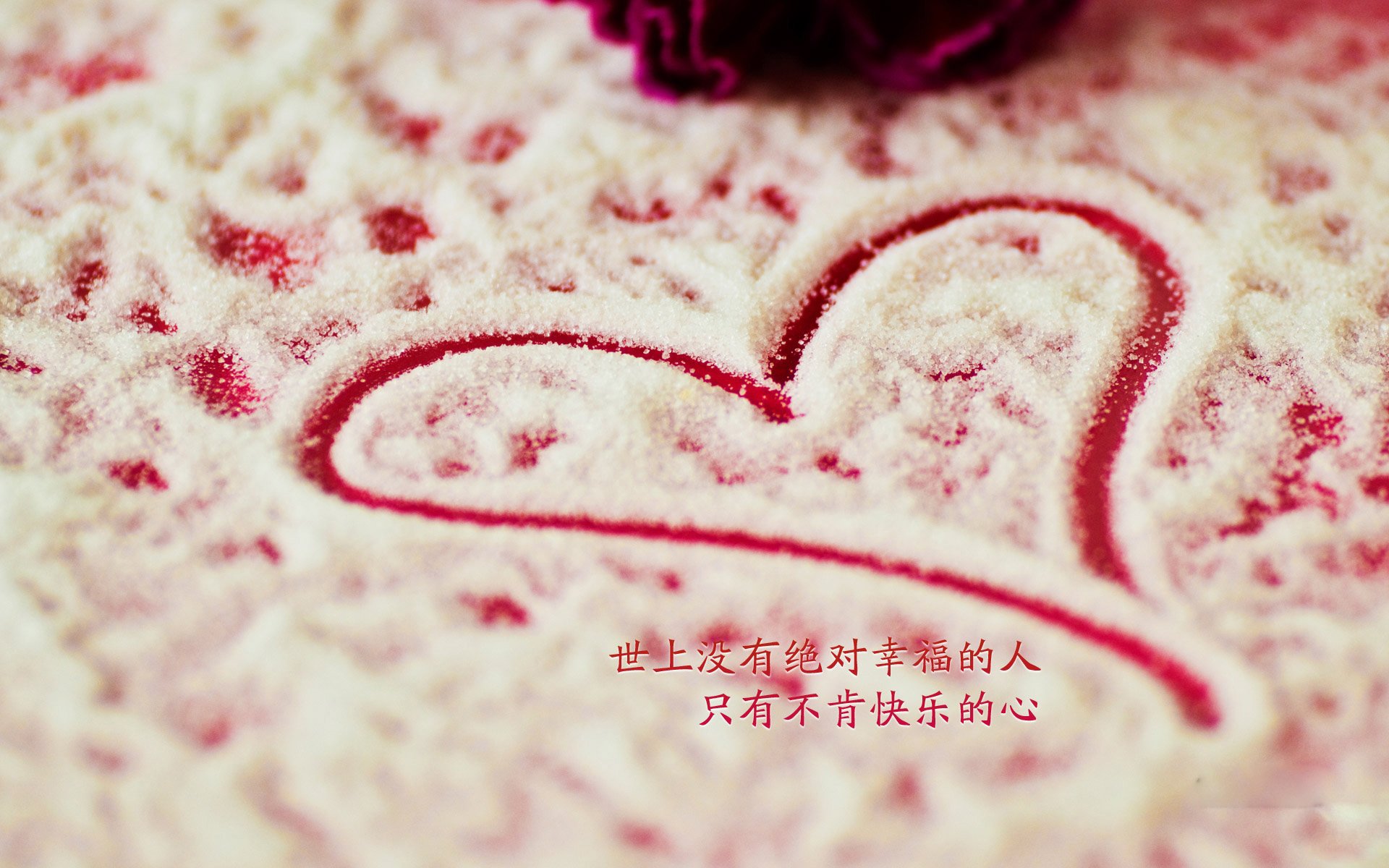 绝境中的唯一解法，德布劳内的宿命一击，与厄瓜多尔的高原怒放