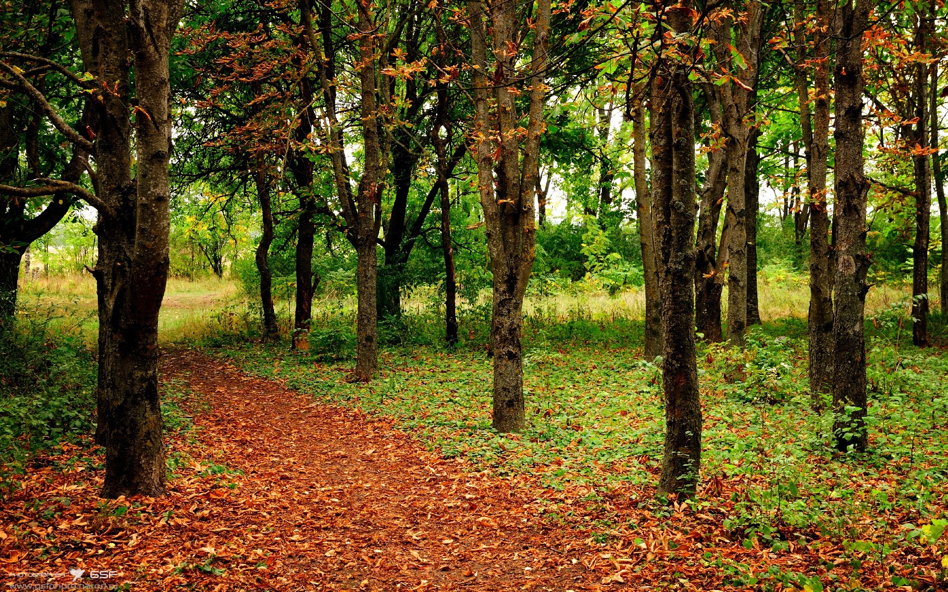 首先，为您扩展思维，构思一个脱颖而出的文章标题