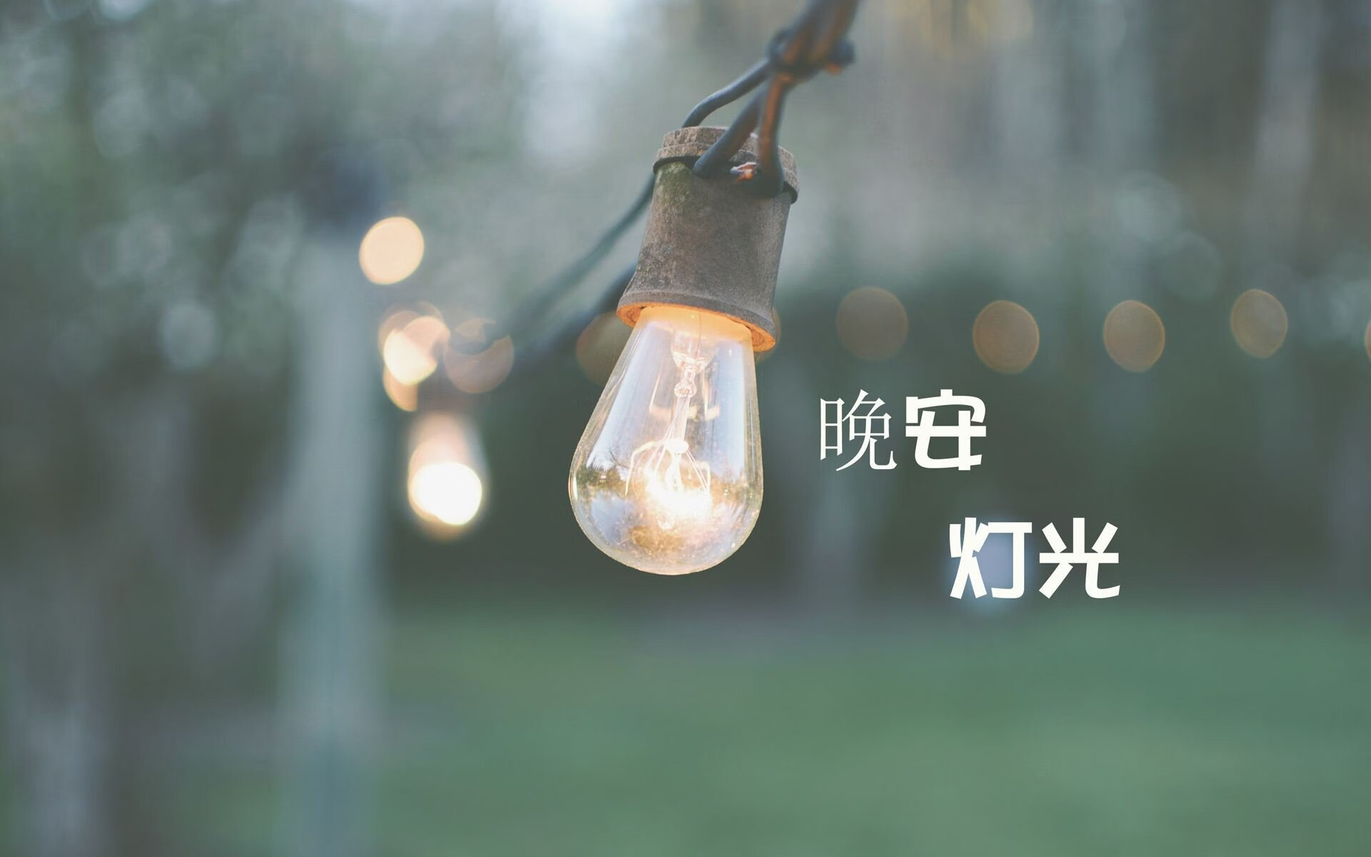 暗夜中的刺穿者，加维的最后一秒，如何将2026世界杯的E组变为血色黄昏